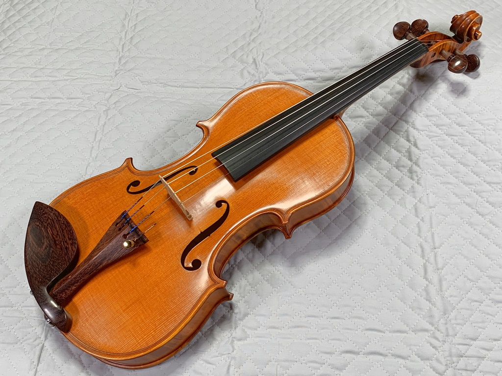 Gligaのバイオリン | 雲山の雑記帖